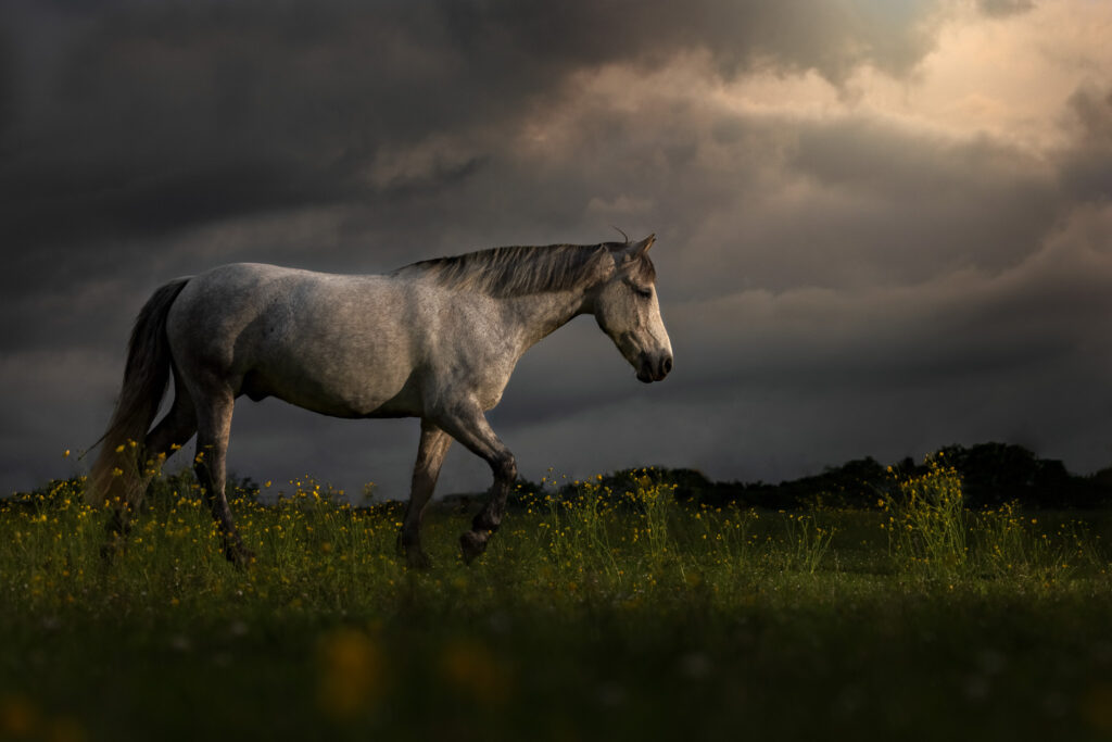 334A0828-Edit-2