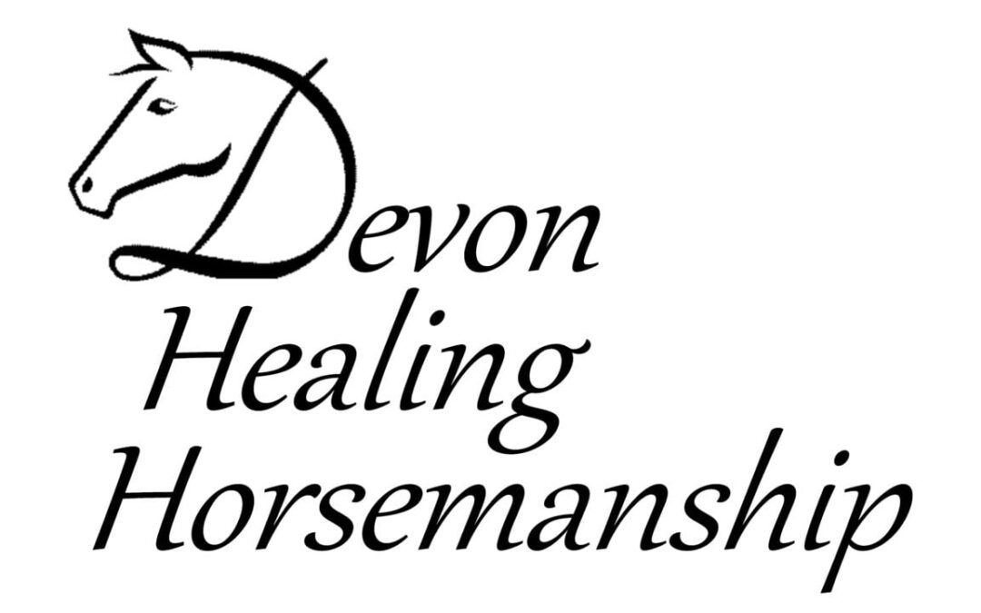 Devon Healing Horsemanship