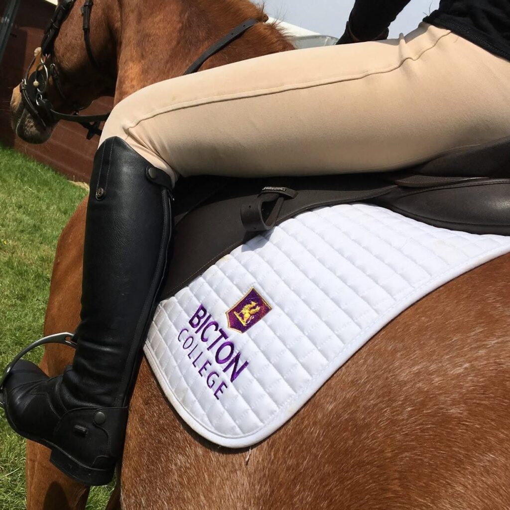 Equine Logo
