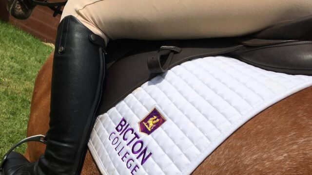 Equine Logo