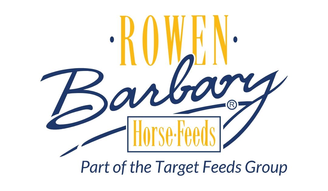 Rowan Barbary Horse Feeds