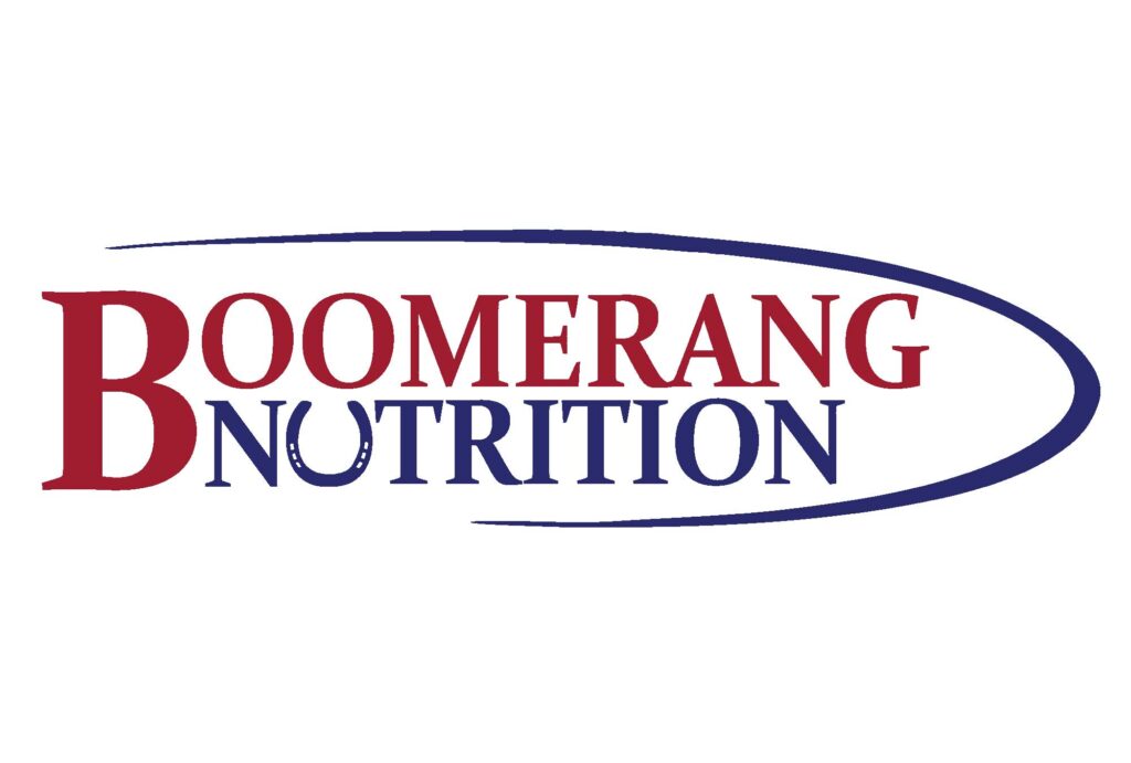 boomerang