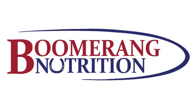 boomerang