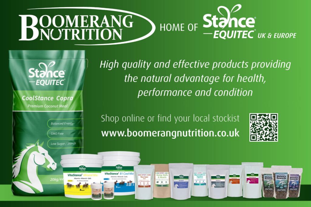 boomerangWebsite-advert