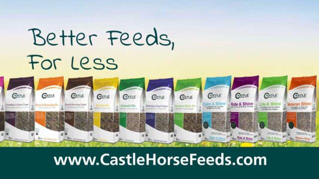 castlefeeds
