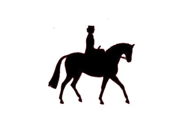 sidesaddle